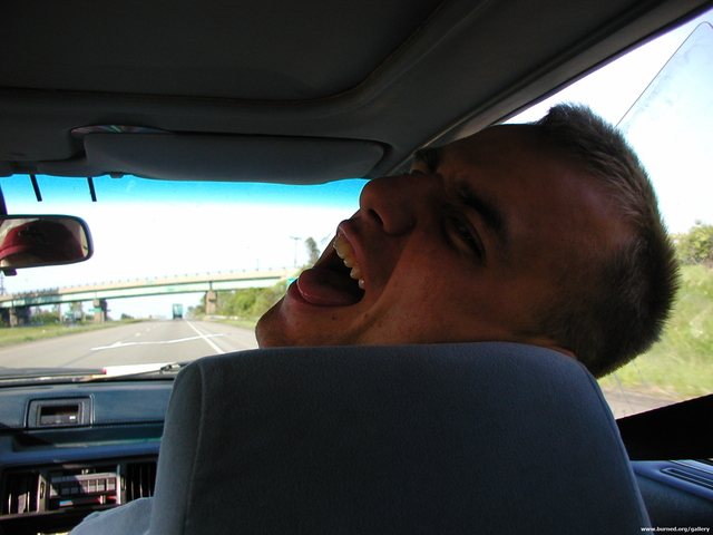 Picture 018.jpg