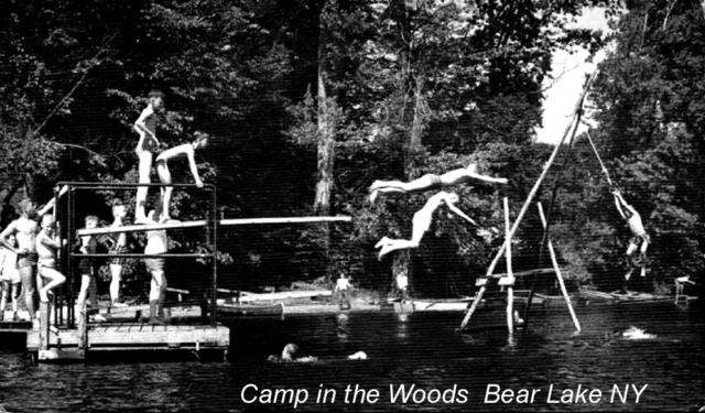 Camp_in_the_Woods__h1.jpg