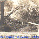 Fredonia's_Spring_in_Laona_1940s.jpg