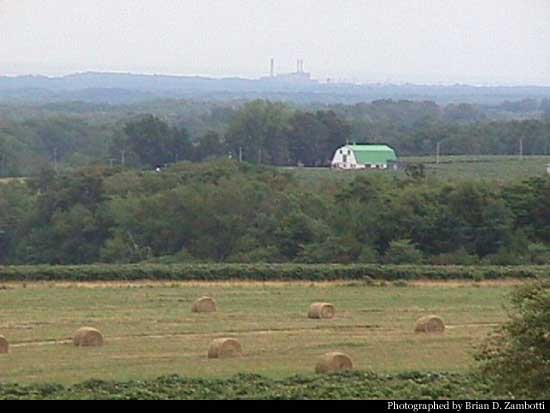 hay.jpg