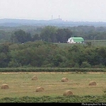 hay.jpg