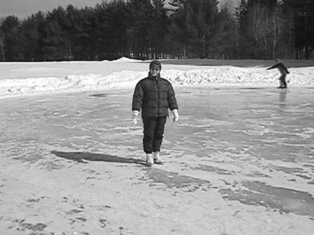 Ice_Skating_in_Gully.jpg