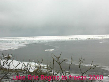 Lake_Erie_begins_to_freeze.jpg
