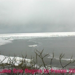 Lake_Erie_begins_to_freeze.jpg