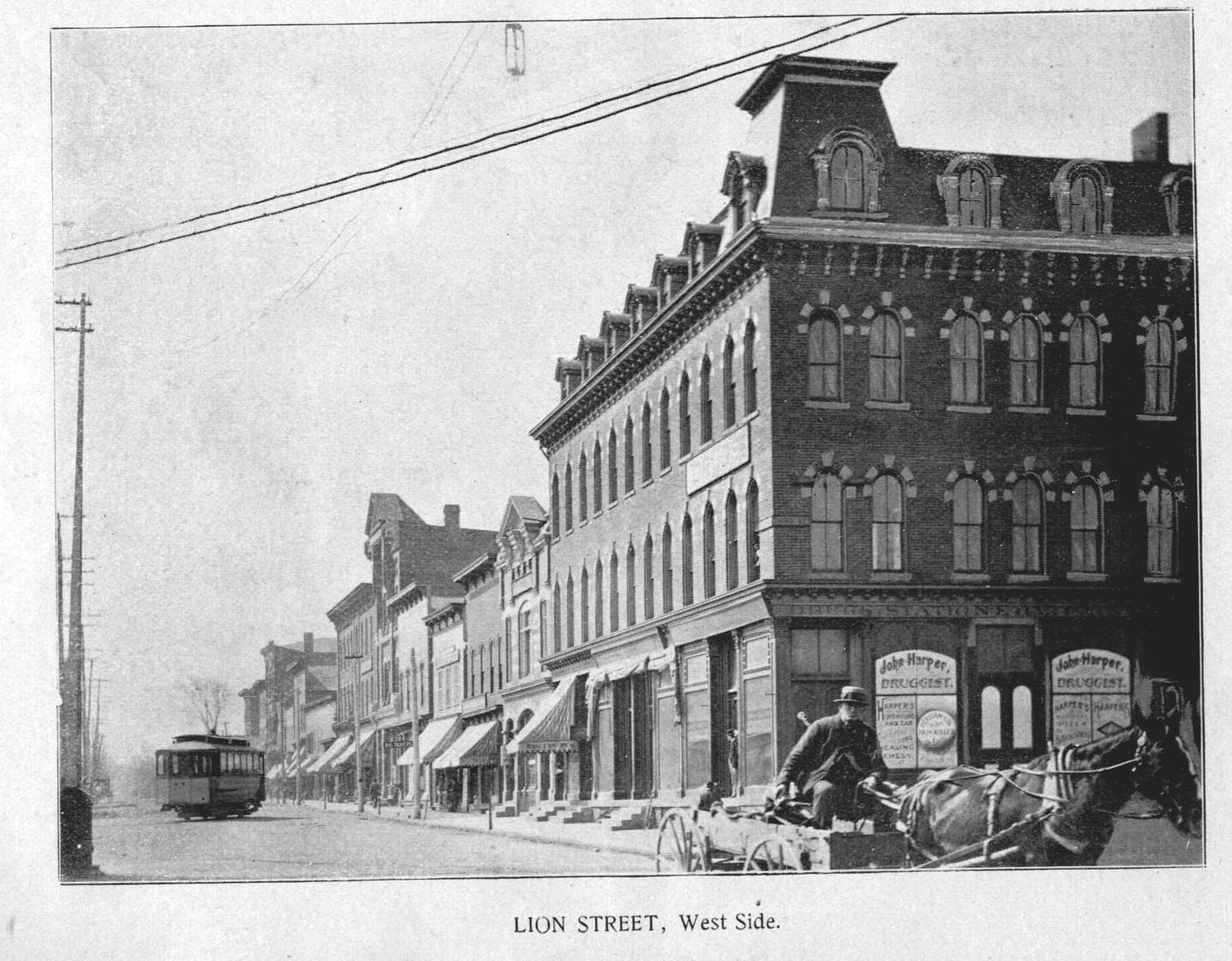 Lion_Street__Dunkirk_NY__1894.jpg