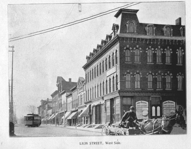 Lion_Street__Dunkirk_NY__1894.jpg