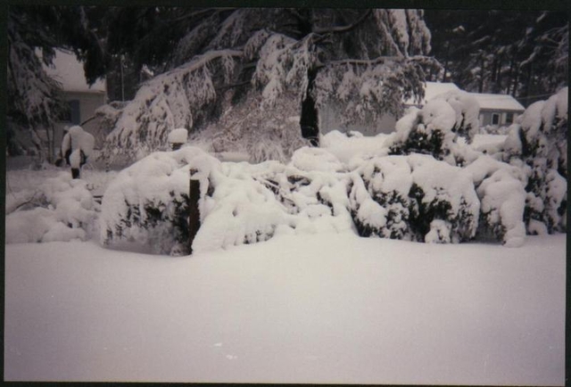 new_fallin_Snow.jpg