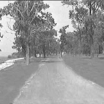 Point_Drive1960s.jpg