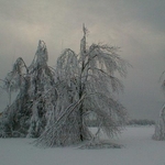 snowy_morning.jpg