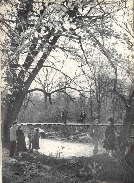 Swinging_Bridge_over_Canadaway.jpg