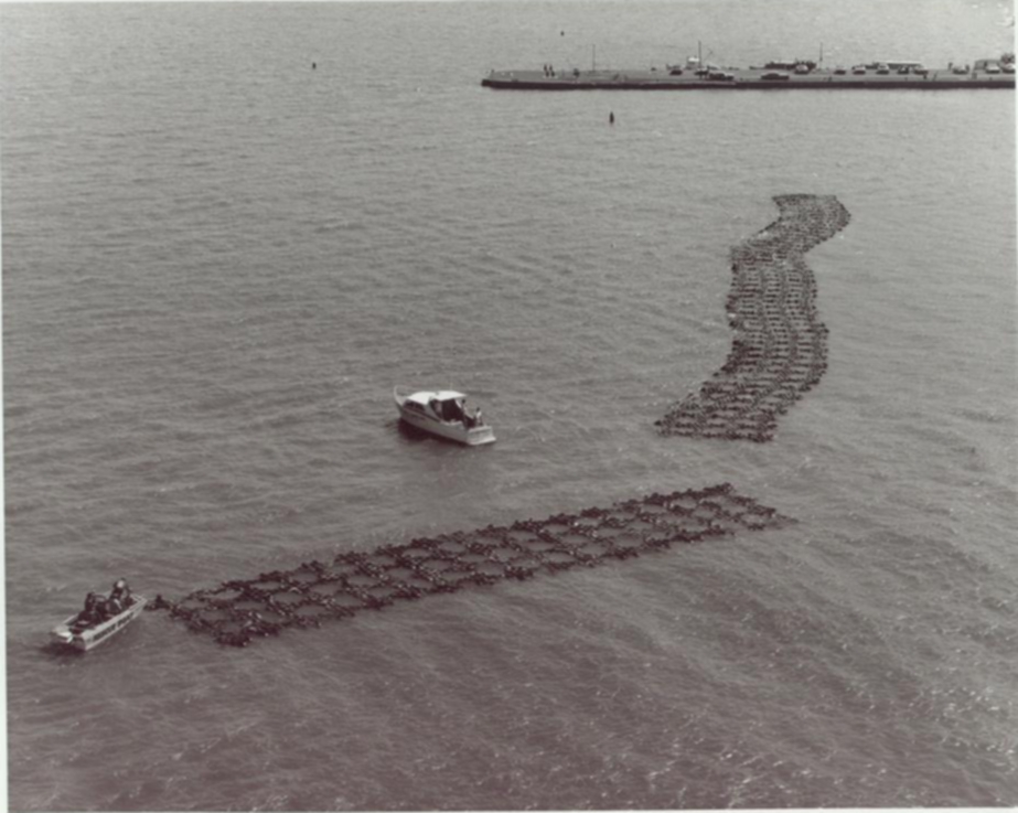 tire_seawall1.jpg
