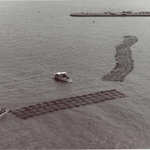 tire_seawall1.jpg