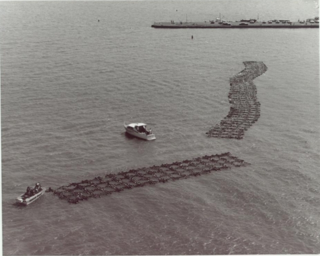 tire_seawall1.jpg