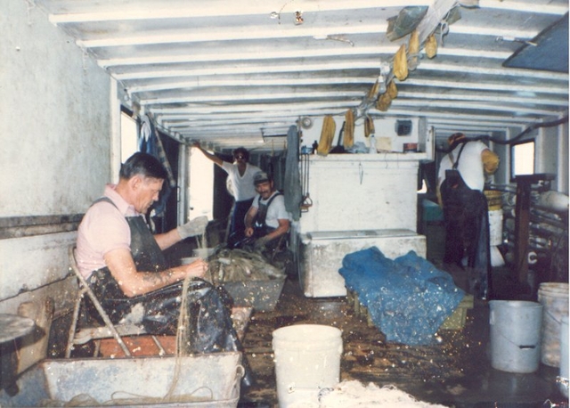 Working_aboard_the_Donna_Marie.jpg