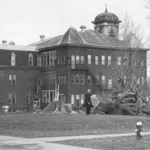 Big_Tree_Falls_at_DHS.jpg