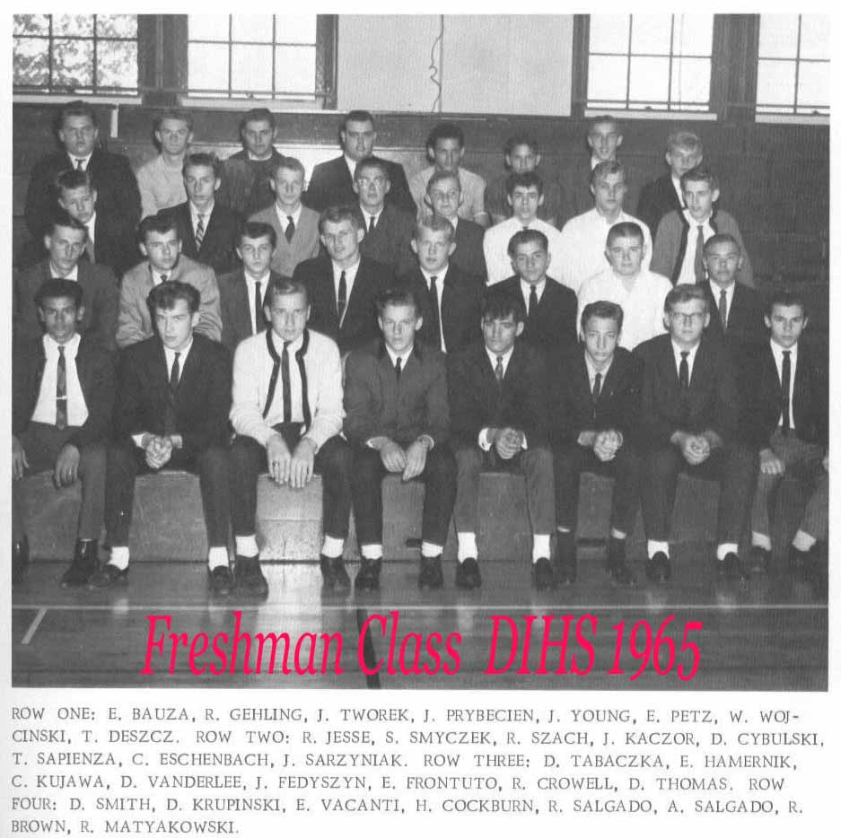 Freshman_Class_DIHS_1965.jpg