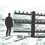 gallerypic4zoom1.jpg
