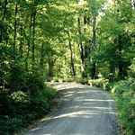 JT43070.jpg