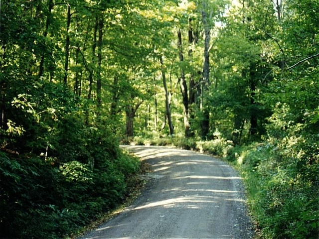 JT43070.jpg