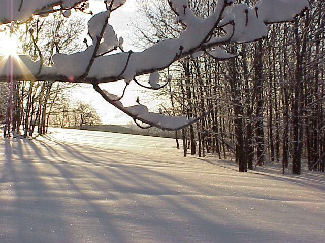 k234073.jpg