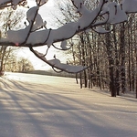 k234073.jpg