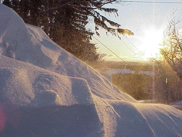 k796785.jpg