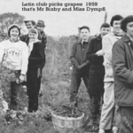 Latin_Club_picks_Grapes__59.jpg