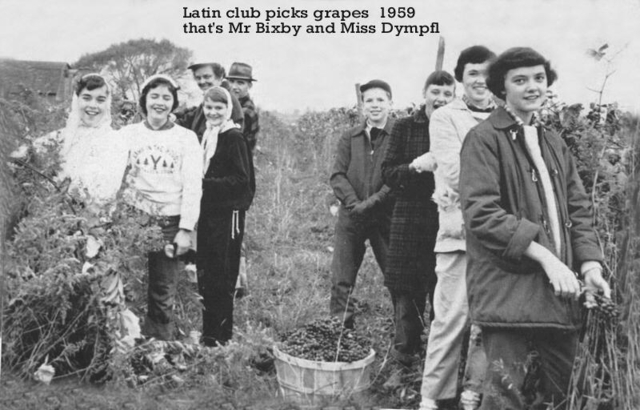 Latin_Club_picks_Grapes__59.jpg
