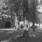 Old_DHS_from_Front_1944.jpg