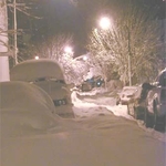 P1010016.jpg
