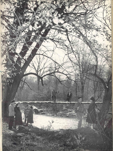 swinging_bridbe_1951.jpg