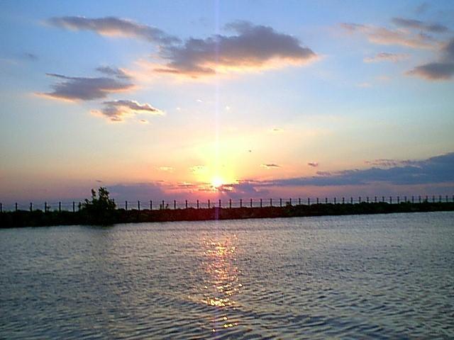 wq48190.jpg