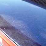 DSC03624.JPG