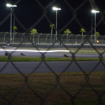 DSC03657.JPG