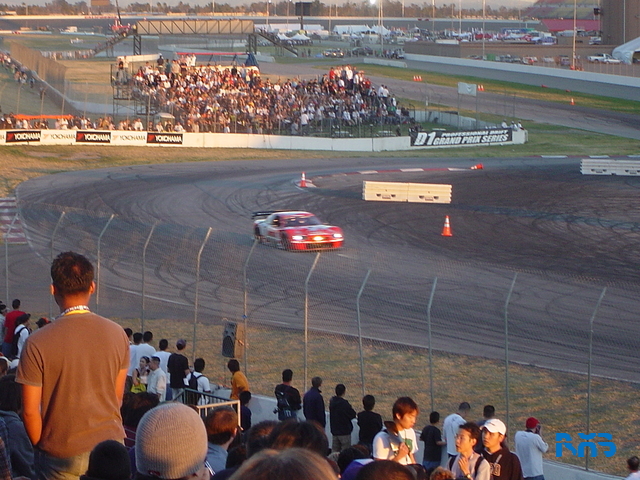 DSC03781.JPG